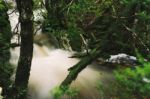 Knyvet Falls In Cradle Mountain Stock Photo