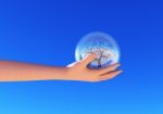 Hand Holding Bubble With Tree Stock Photo