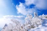 Deogyusan Mountains Is Covered By Snow In Winter,south Korea Stock Photo