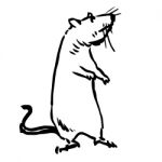 Freehand Sketch Illustration Of Rat, Mouse Stock Photo