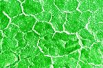 Green Background Created From Soil Stock Photo