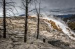 View Of Mammoth Hot Springs Stock Photo