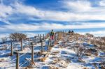 Deogyusan,korea - January 1: Tourists Taking Photos Of The Beautiful Scenery And Skiing Around Deogyusan,south Korea On January 1, 2016 Stock Photo