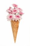 Pink Chrysanthemum Ice Cream Cone Flower Beautiful Fresh Stock Photo