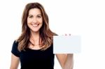 Attractive Businesswoman Holding A Blank Card Stock Photo