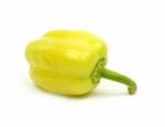 Green Pepper Stock Photo