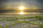 The Landscape Of The Beach Stock Photo