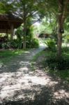 Green Garden Pathway In Summer Stock Photo