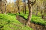 Flowing Stream In City Park Stock Photo