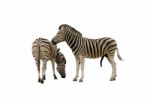 The Zebra Is Well Known In Africa With Its Distinctive Markings Stock Photo