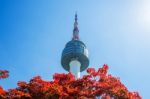 Seoul Tower And Red Autumn Maple Leaves At Namsan Mountain In South Korea Stock Photo