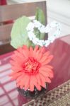 Red Gerbera Flower Decorated On Table Stock Photo