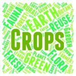 Crops Word Representing Words Harvests And Plant Stock Photo