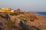 Sand Dunes Of Faro Beach Stock Photo