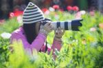 Women Photographer Stock Photo