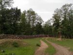 Forest Pathway Stock Photo