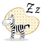 Zebra Stock Photo