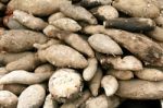 Chinese Yam Stock Photo