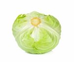 Cabbage Isolated On The White Background Stock Photo