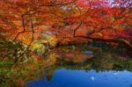 Autumn Leaves Around Pond At Daigoji Temple, Kyoto Stock Photo