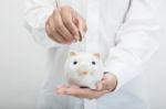 Piggy Bank Stock Photo