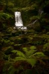 Horseshoe Falls In Mount Field National Park Stock Photo