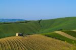 Agriculture Stock Photo