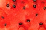 Water Melon Stock Photo