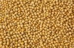 Soy Bean Pattern Stock Photo