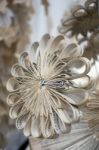 Artistic Flower Display Made Of Paper At The Millennium Centre I Stock Photo