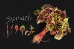 Spinach Red Fresh Vegetable Organic Blackboard Stock Photo