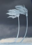 Palm Trees In The Wind Stock Photo