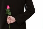 Man Holding A Rose Stock Photo