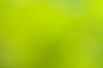 Green Background Stock Photo