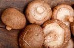 Shiitake Mushrooms Stock Photo