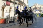 Carriage And Horses In Krakow Stock Photo