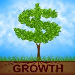 Growth Tree Means American Dollars And Banking Stock Photo