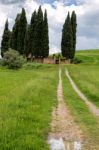 Rural Cementery In Val D'orcia Stock Photo