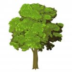 Sg171004a-illustration Of Tree -  Illustration Stock Photo