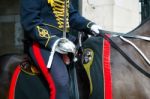 London - July 30 : Kings Troop Royal Horse Artillery In Whitehal Stock Photo