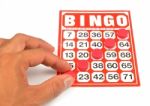 Bingo Card  Stock Photo