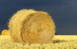 Straw Bale Stock Photo