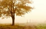 Autumn Landscape Stock Photo