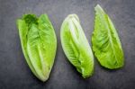 Food Background And Salad Concept With Fresh Cos Lettuce Flat La Stock Photo