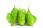 Balsam Pear Stock Photo