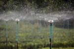 Water Sprinkler System Stock Photo