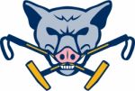 Wild Hog Head Crossed Polo Mallet Retro Stock Photo