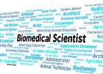 Biomedical Scientist Means Science Employment And Words Stock Photo