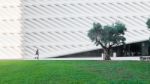 August 9, 2016 - Los Angeles, Usa: People Walk Through Green Park Beside Of The Broad, A New Contemporary Art In Downtown City Los Angeles Stock Photo