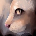 Illustration Digital Painting Cat Portrait Stock Photo